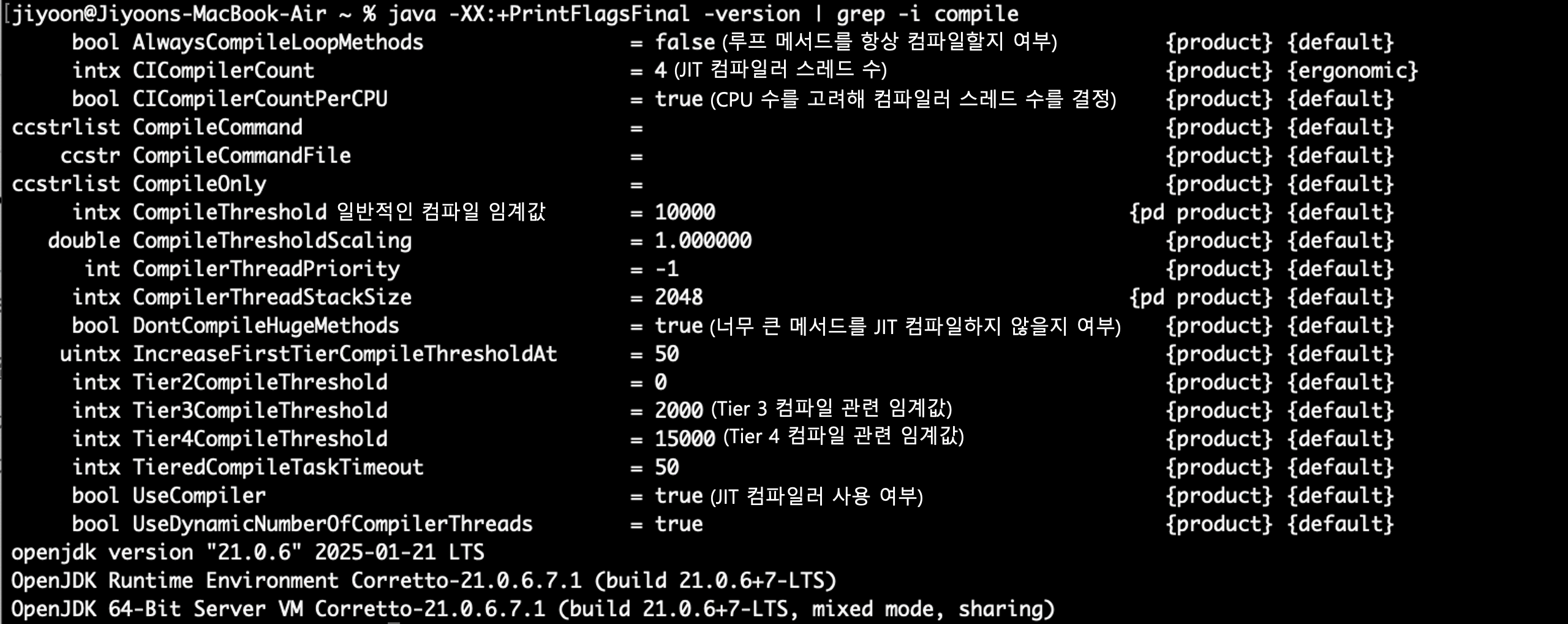 JIT 컴파일 설정 확인하기